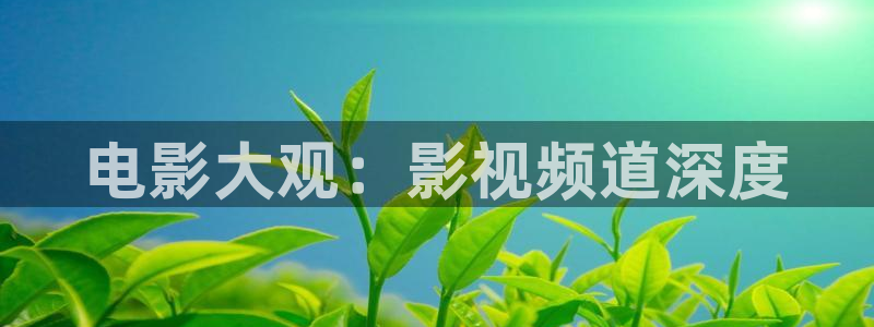 極速影院電視?。弘娪按笥^：影視頻道深度
